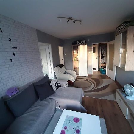グダニスクKalisiowy Apartamentアパートメント エクステリア 写真
